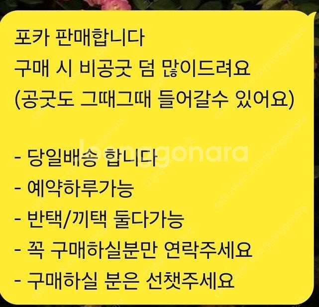 아이브 포카 / 아이브 포토카드 판매--1